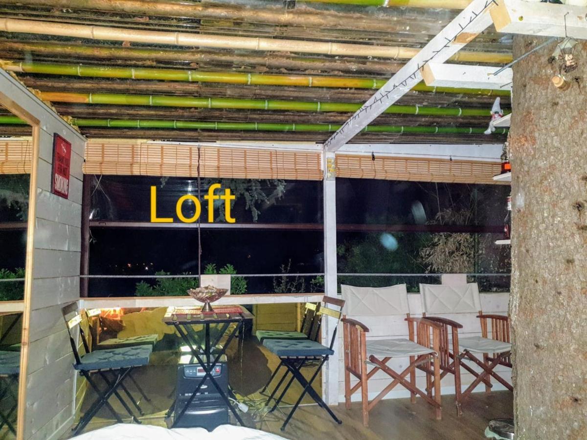 Ca' Dei Gelsi B & B Coriano Exteriér fotografie